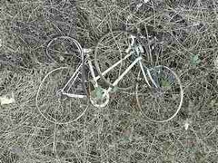 dumped bike