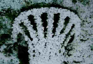 Back of a seat buried under snow