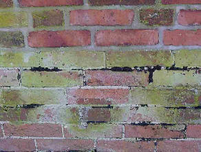 Pastel coloured bricks