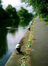 River scene and many boat moorings