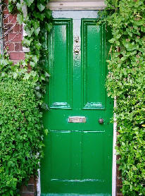 Green front door surrounded by green Ivy and plants