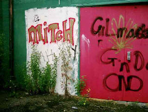 Weeds with graffiti on wall