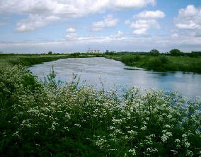 Power station cooling towers seen at a distance with a river in foreground