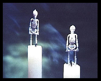 Two extinguished candles with small skeletons